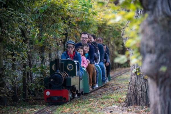 Train de jardin - musée Rambolitrain