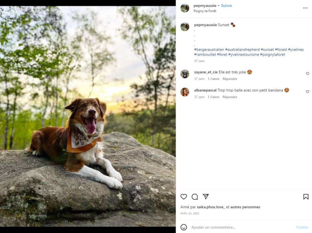 Rochers d'Angennes 4 - Ufficio del turismo di Rambouillet