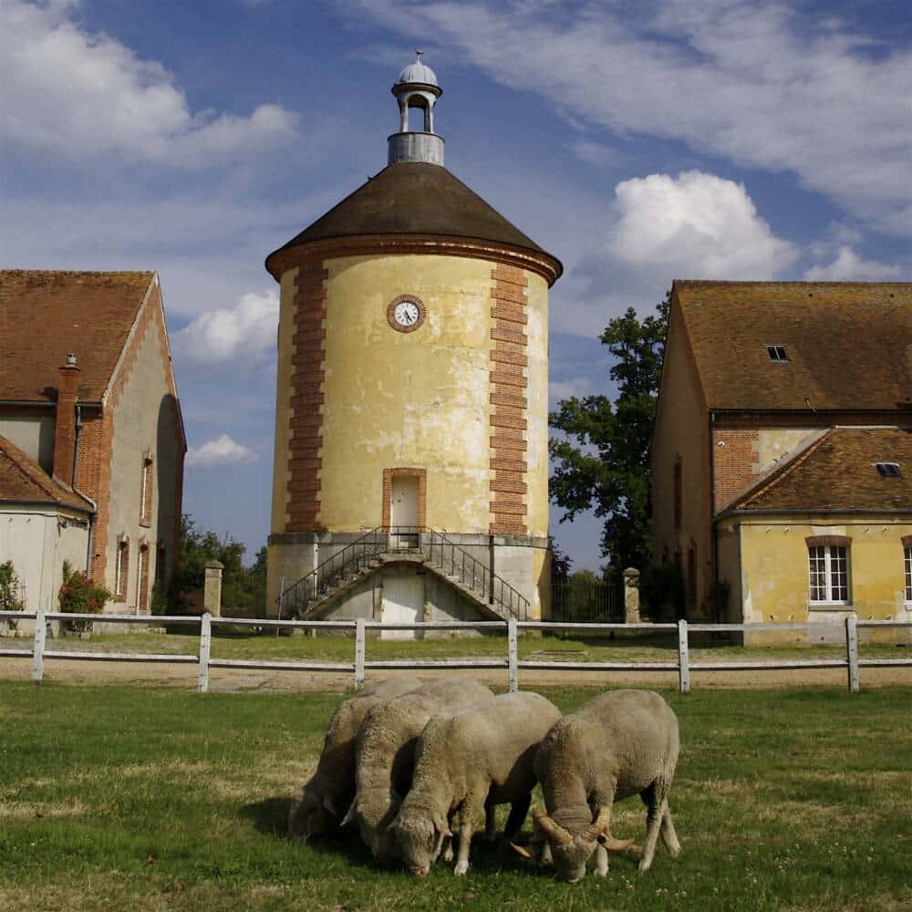 Nationaler Schafstall - Rambouillet