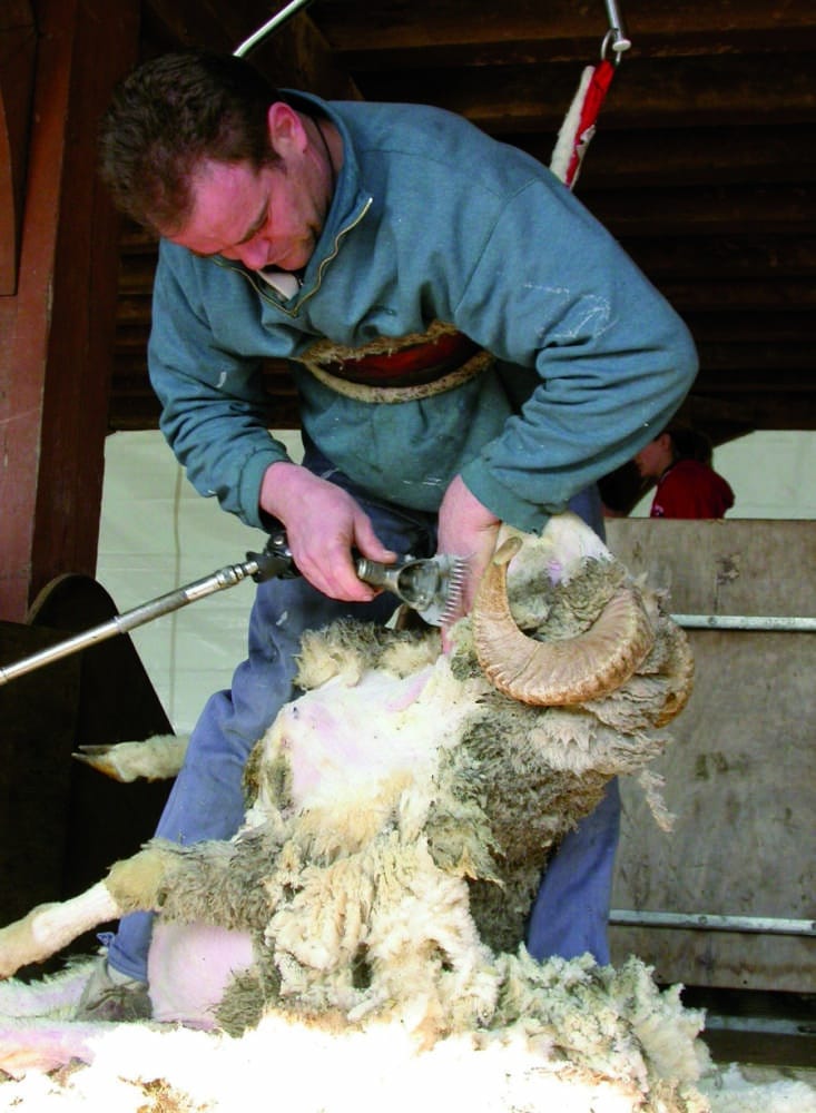 National Sheepfold - Rambouillet