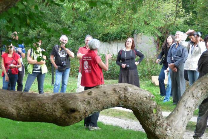 Balades des guides de parc