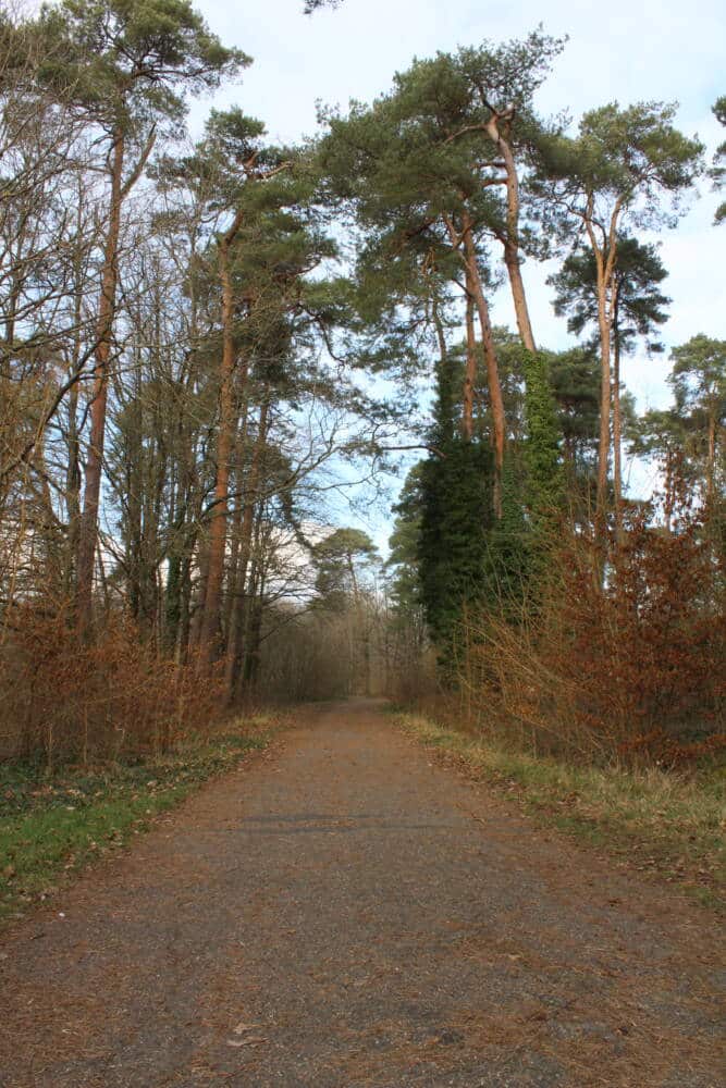 Etang d'or-Radweg