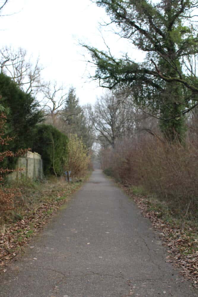 Etang dOr 10 02 2023 @OTRTMS 54 - Office de Tourisme de Rambouillet