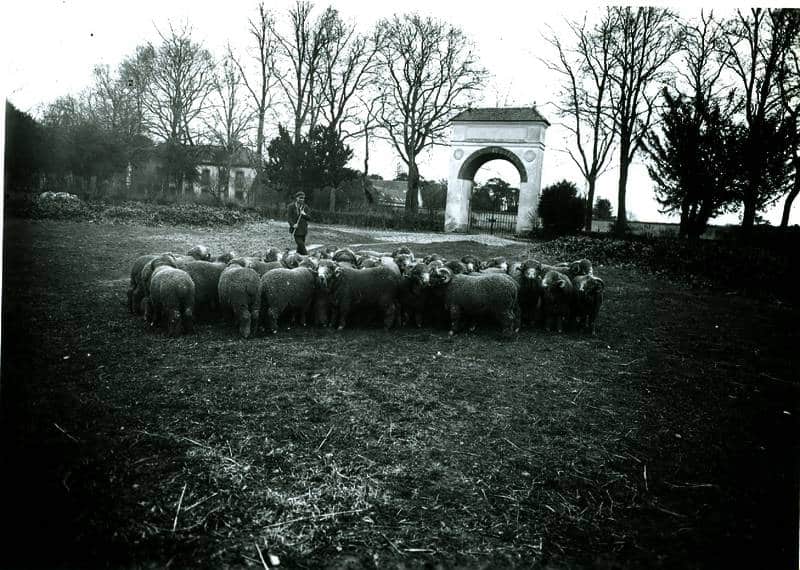 Lecole des Bergers Bergerie Nationale 4 - Office de Tourisme de Rambouillet