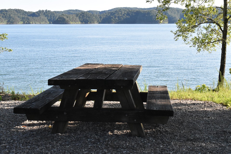 Picknick in het bos