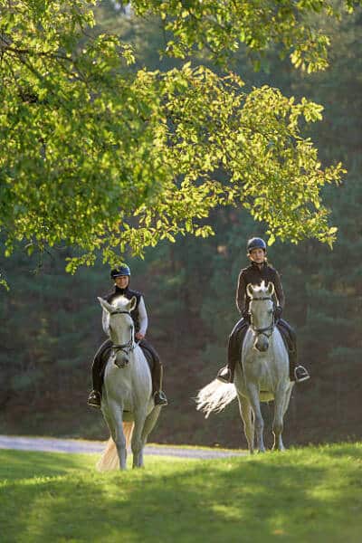 Reiten 2 - Fremdenverkehrsamt Rambouillet