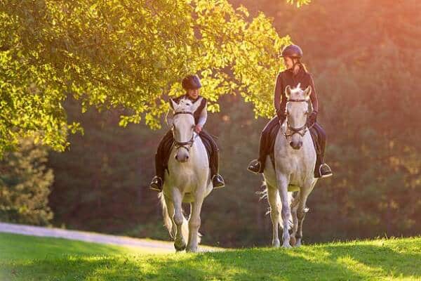 Horse riding 3 - Rambouillet Tourist Office