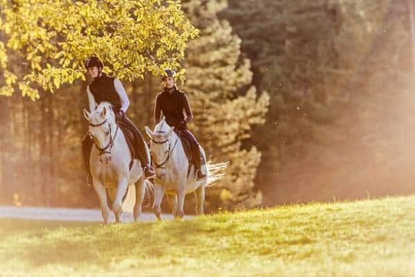 Reiten 4 - Fremdenverkehrsamt Rambouillet