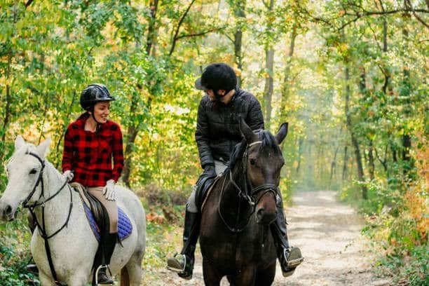 Equitation 7 - Office de Tourisme de Rambouillet