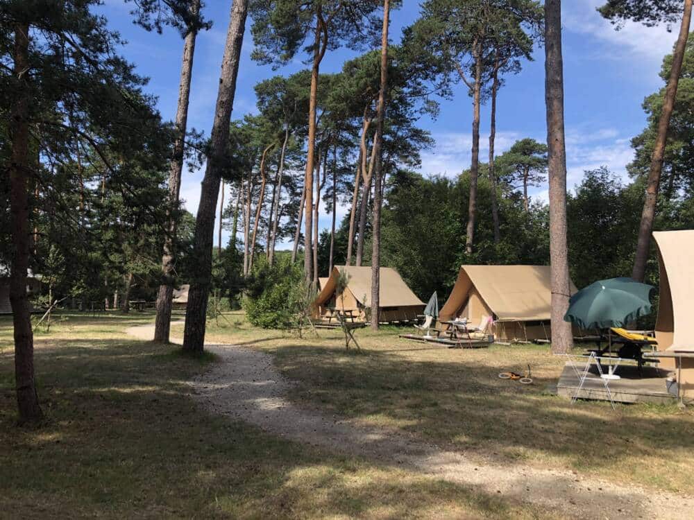 5 bonnes raisons de séjourner au camping Huttopia Rambouillet
