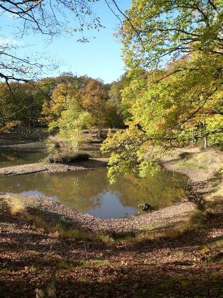 Vilpert ponds - Saint-Léger-en-Yvelines