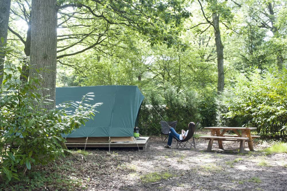 5 bonnes raisons de séjourner au camping Huttopia Rambouillet