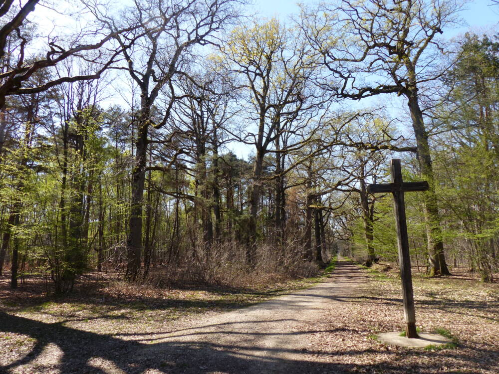 Grandes bosques 5 - Oficina de Turismo de Rambouillet