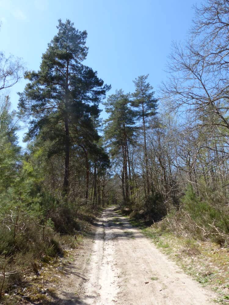 La Marlotterie 10 - Rambouillet Posto de Turismo