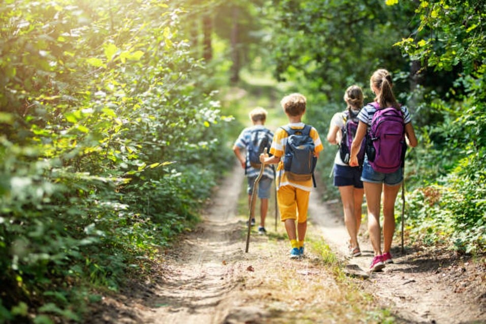 Hiking