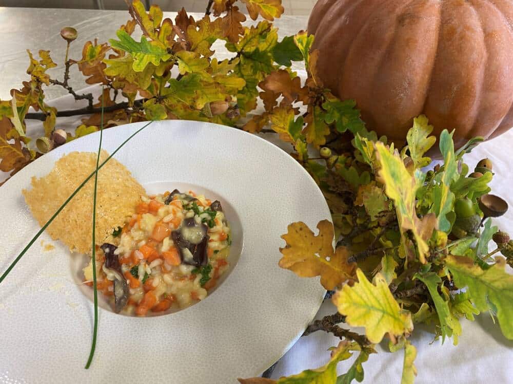 Plats et menus d'automne