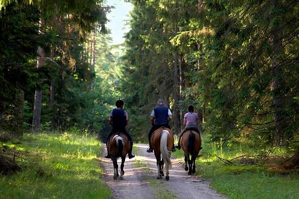 Passeios a cavalo - Posto de Turismo de Rambouillet