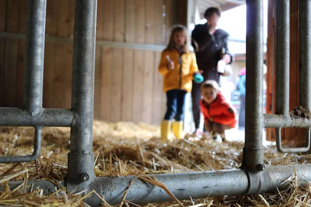 Les vacances d'hiver à Rambouillet Territoires - Office de Tourisme de Rambouillet 067 Enquete a la ferme BN mars19©BergerieNationale - Office de Tourisme de Rambouillet