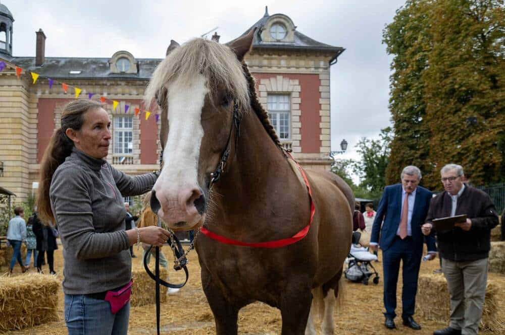 Saint-Lubin - Rambouillet