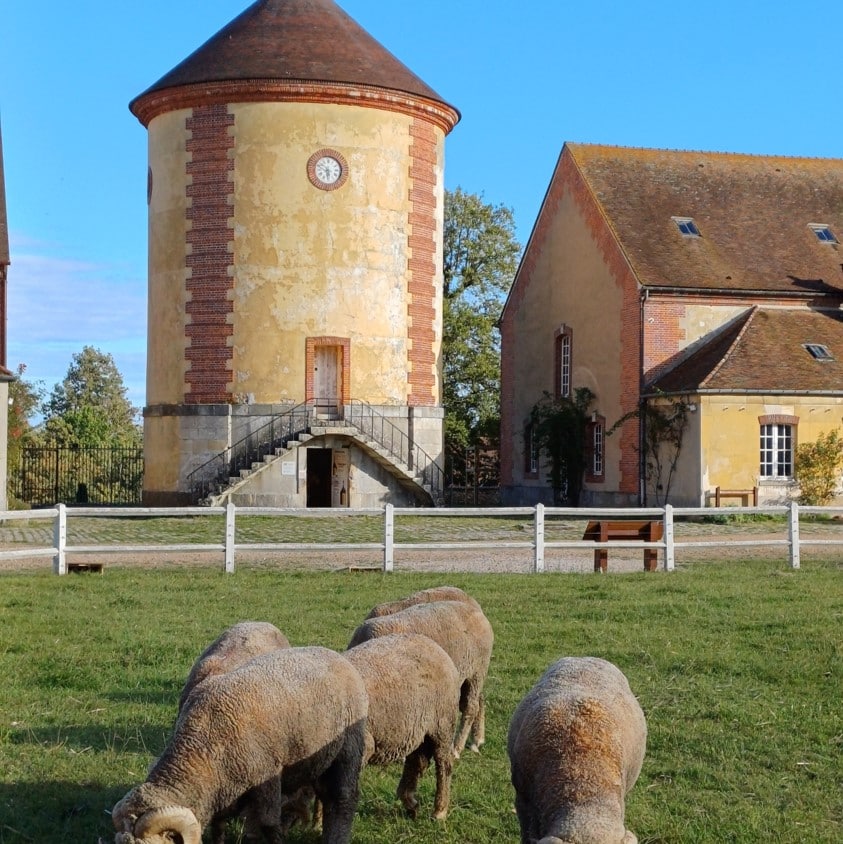 National Sheepfold