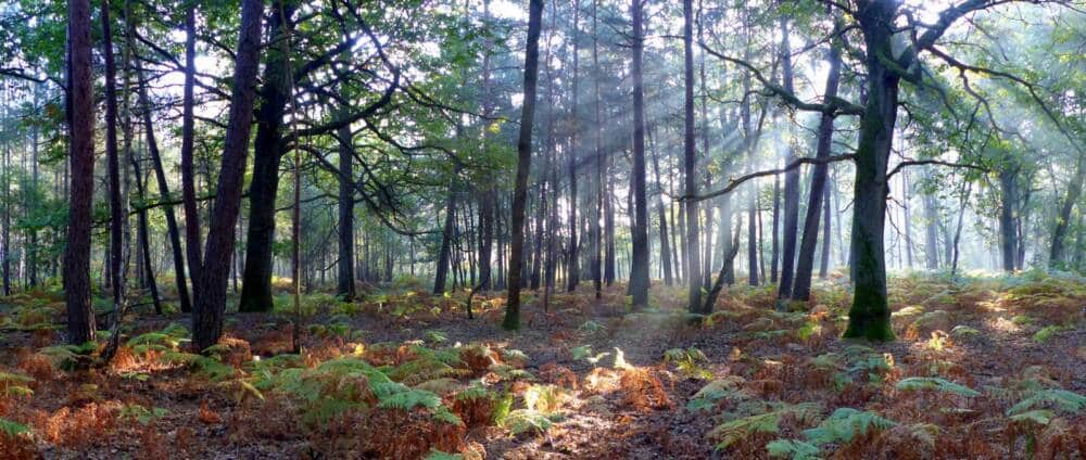 Salida a la naturaleza Dany Fagot