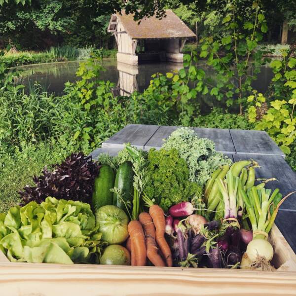 Large Garden - Clairefontaine-en-Yvelines