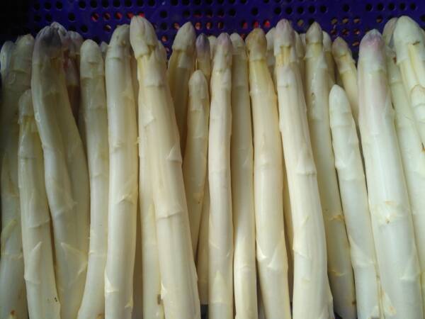 Les asperges de Simon