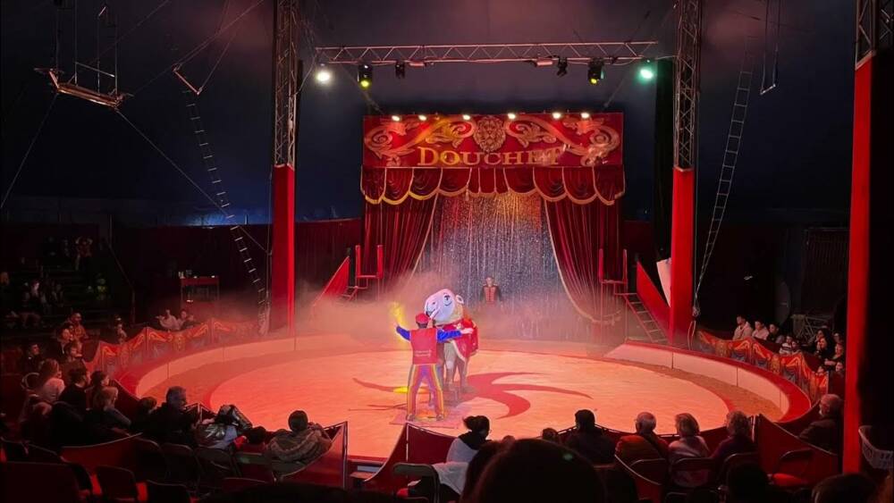 Zavatta Douchet Circus