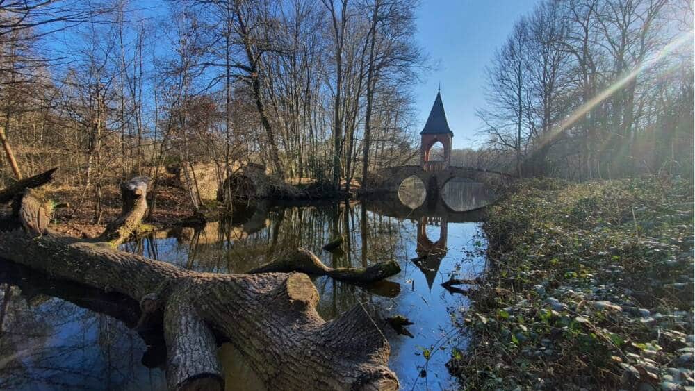 6 balades à vélo en forêt