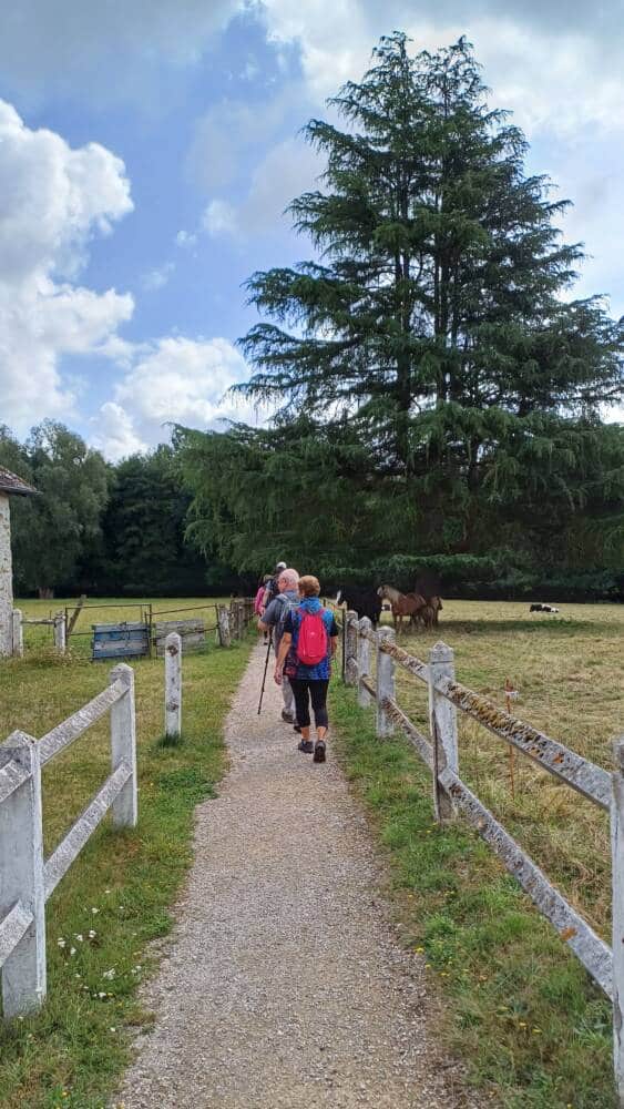 Rando accompagnee Poigny la Foret 14 - Office de Tourisme de Rambouillet