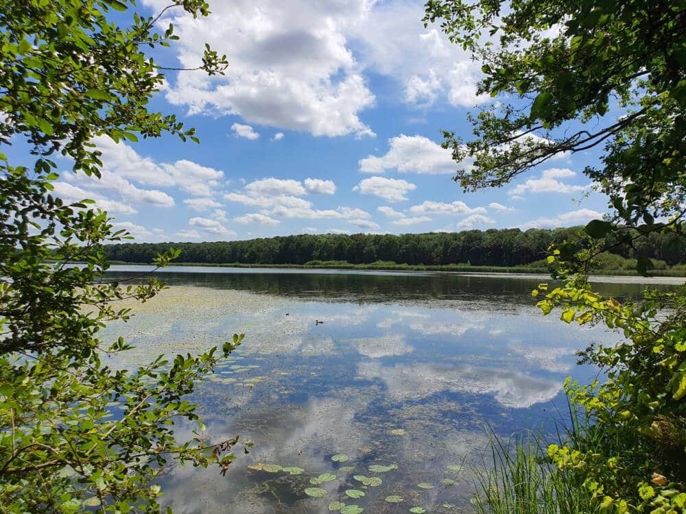 L'étang St-Hubert