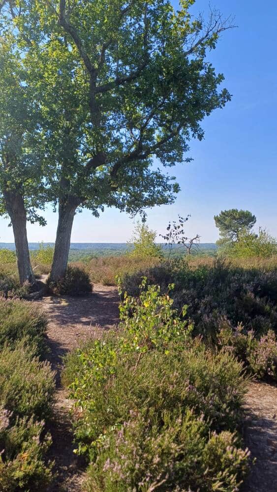 Sentier des 4 dragons - Rochefort-en-Yvelines