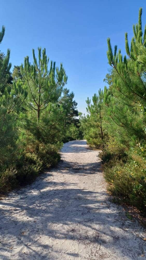 Sentier des 4 dragons - Rochefort-en-Yvelines