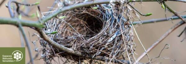les-oiseaux-et-leurs-habitats