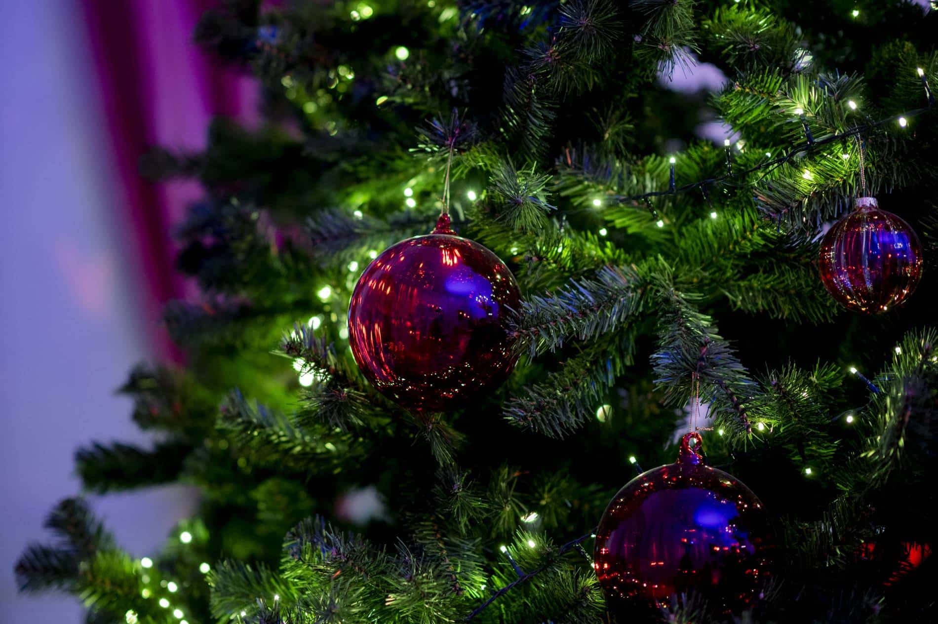 Le Noel des siecles Rambouillet 128 - Office de Tourisme de Rambouillet