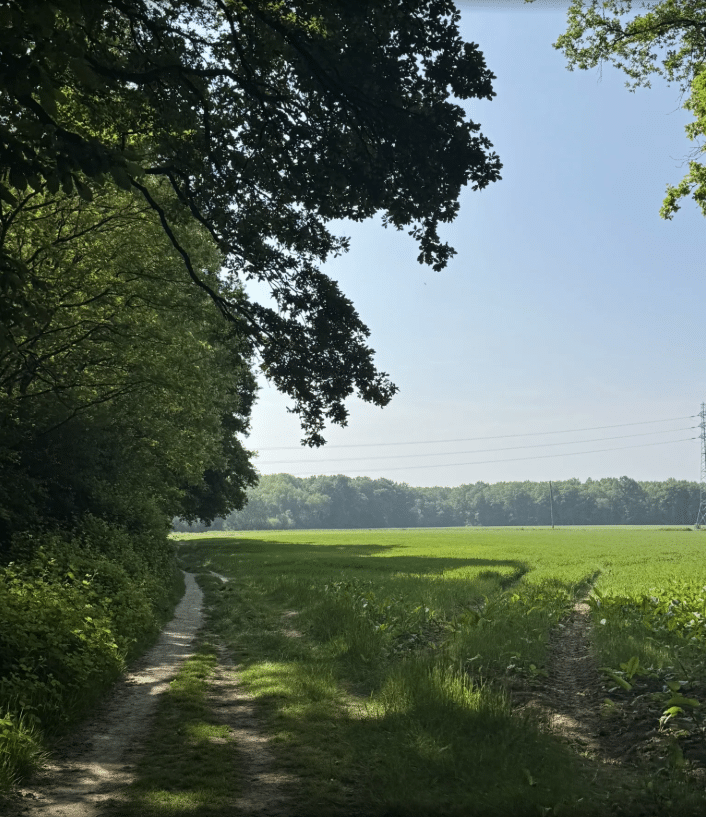 3 randonnées pédestres au départ d'une gare à Rambouillet Territoires - Office de Tourisme de Rambouillet 2025 12 13 11h18 27 - Office de Tourisme de Rambouillet