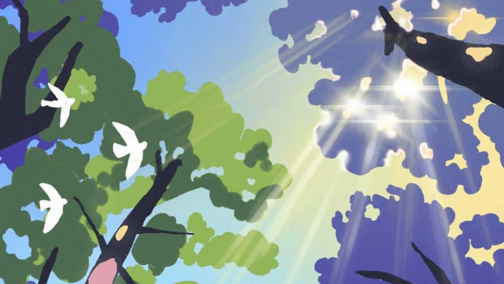 Les nuits des forêt 2026