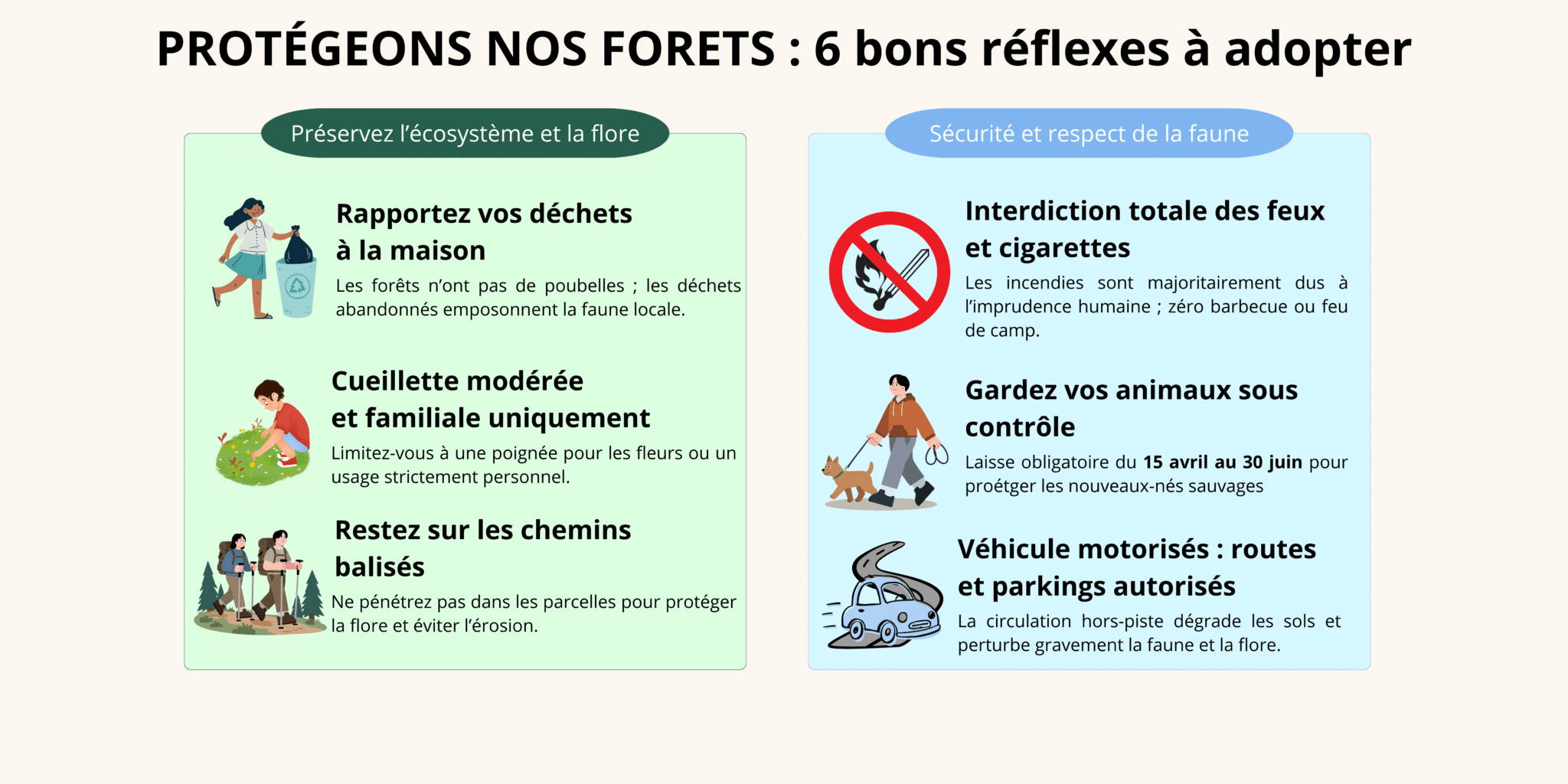 6 réflexes à adopter en forêt
