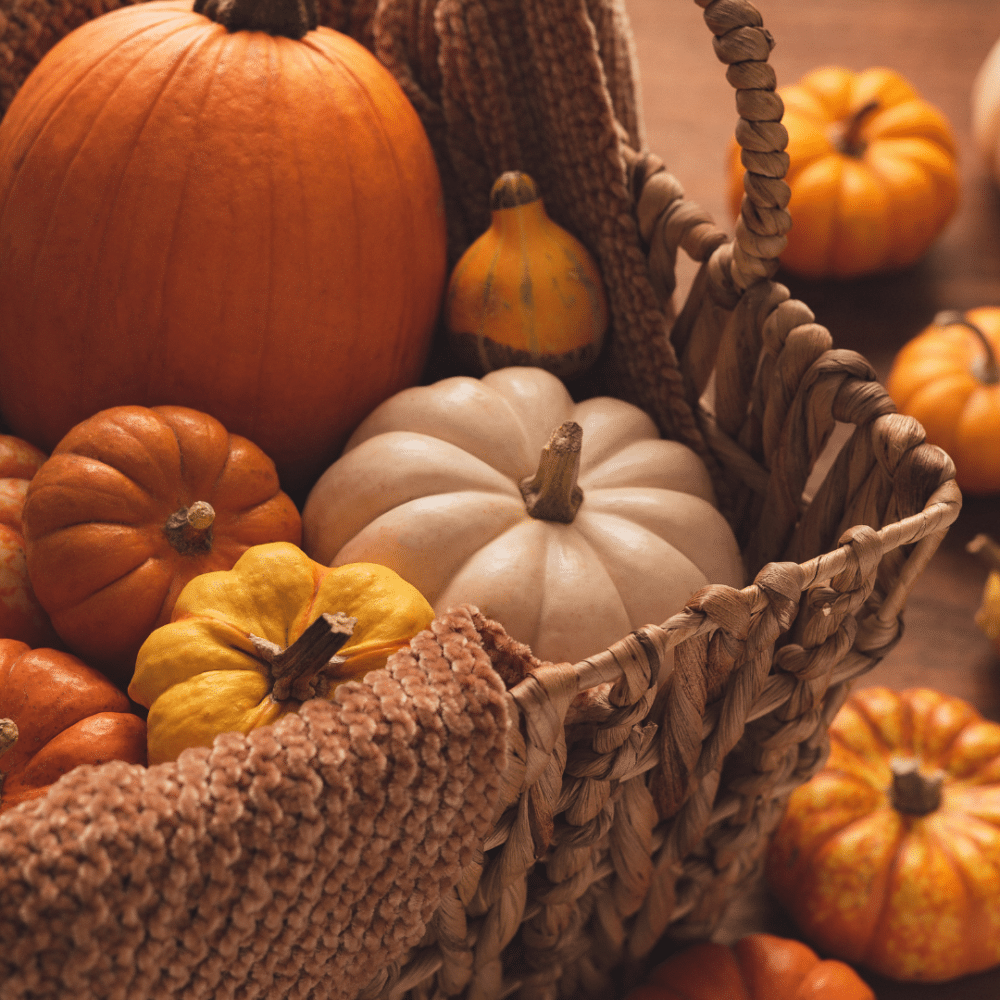 automne