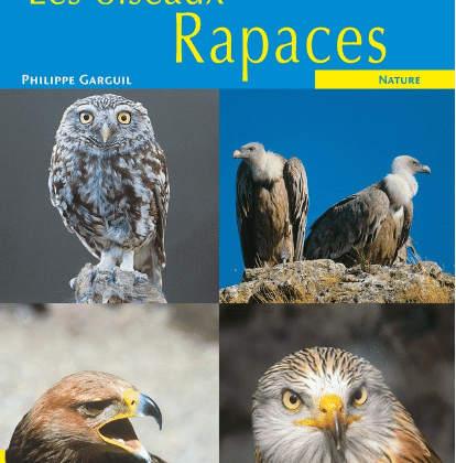Livre Les Oiseaux Rapaces