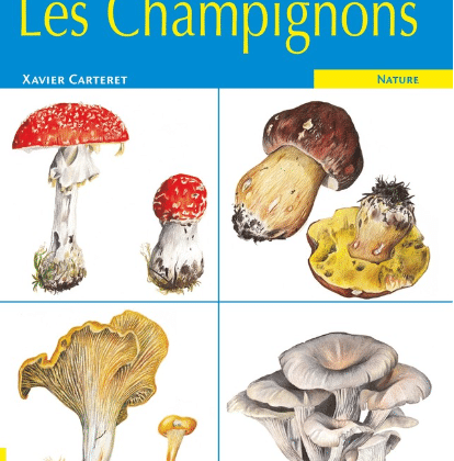 Livre Les Champignons