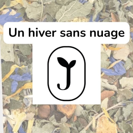 Tisane Hiver sans nuage